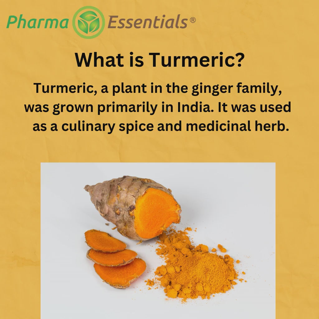 Turmeric Curcumin 260 mg with Ginger 60 Gummies