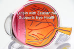 Load image into Gallery viewer, Lutein 20 mg with Zeaxanthin vegetarian, gelatin-free gummies
