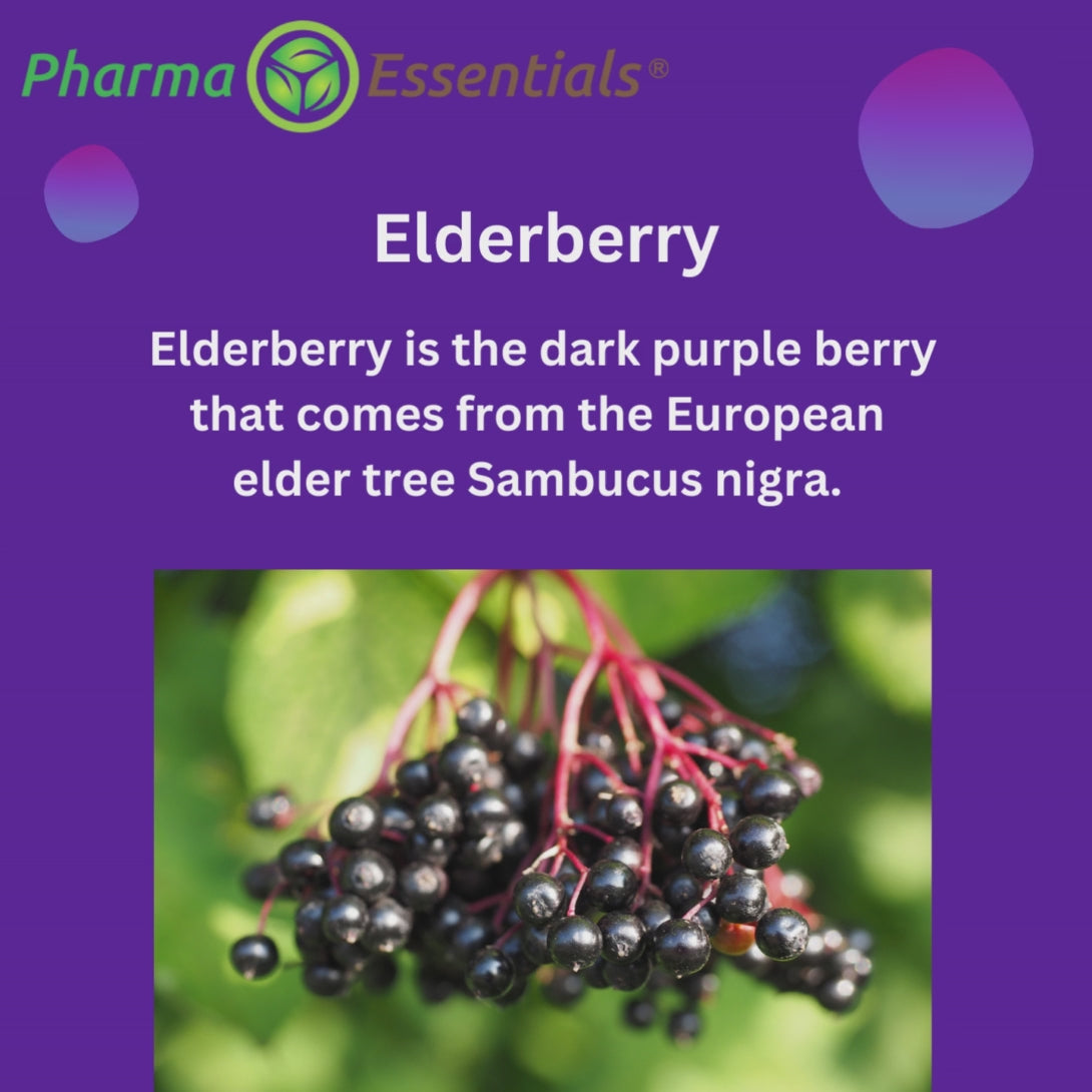 Elderberry with Vitamin C & Zinc 60 Gummies