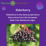 Load and play video in Gallery viewer, Elderberry with Vitamin C &amp; Zinc 60 Gummies
