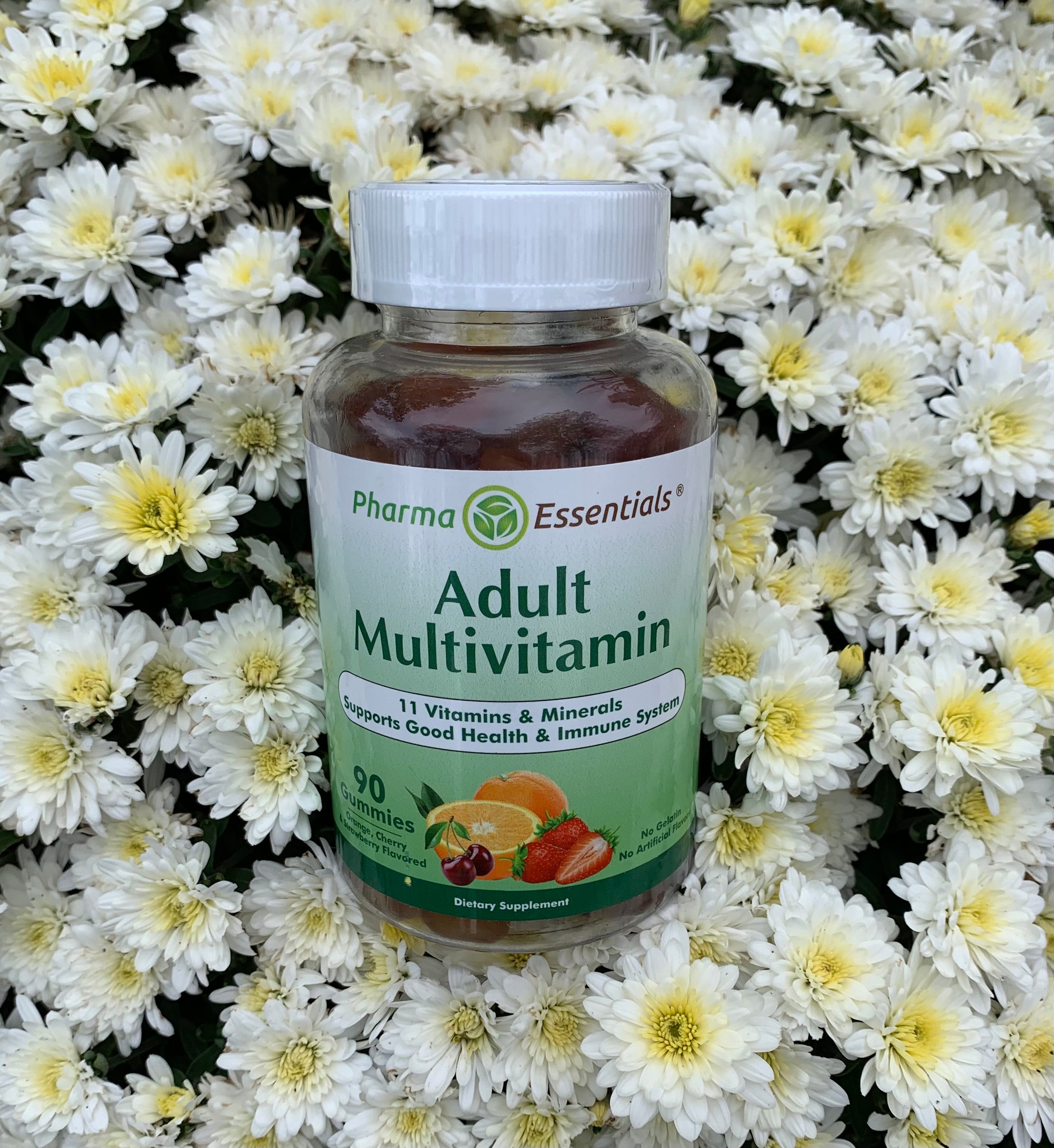 Adult multivitamin vegetarian gelatin-free gummies